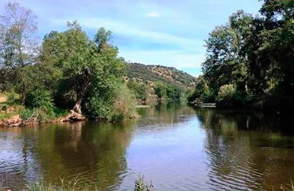 Cacerías de Perdices cacerias arenal 3