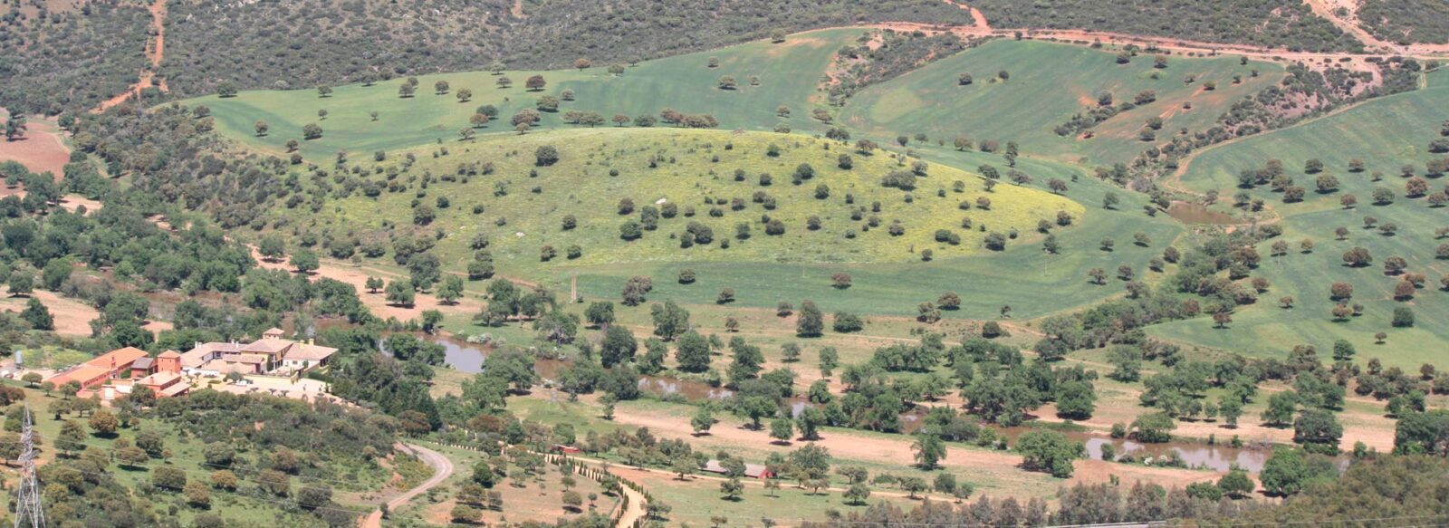 Fincas de Caza El Arenal JB Mergelina